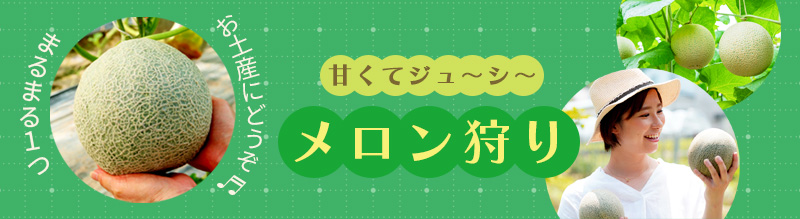まるまる一玉お持ち帰り！メロン狩り