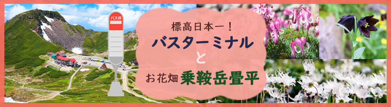 標高日本一のバスターミナルとお花畑乗鞍岳畳平
